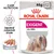ROYAL CANIN EXIGENT ALL SIZES paštéta pre psy, 85 g x12. Uspokojí vyberavé chute. Na obale obrázok psa s dlhými chlpmi. ROYAL CANIN EXIGENT ALL SIZES paštéta pre psy, 85 g x12. Uspokojí vyberavé chute. Na obale obrázok psa s dlhými chlpmi.