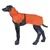 Cappotto per cani arancione con cintura addominale nera su modello di cane, mantello con motivo e colletto alto.