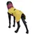 Hundemantel in Gelb und Bordeaux mit Aufschrift ICEPAW, präsentiert auf schwarzer Hundemodellfigur. Sichtbare Schnalle und Befestigungsring. Hundemantel in Gelb und Bordeaux mit Aufschrift ICEPAW, präsentiert auf schwarzer Hundemodellfigur. Sichtbare Schnalle und Befestigungsring.