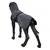 Cappotto nero con copricollo su un modello di cane, fissato lateralmente con una cintura regolabile.