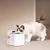 Katze trinkt aus einem weißen PETKIT Eversweet MAX Trinkbrunnen mit sichtbarem Wasserbehälter und Aufkleber auf der Vorderseite. Katze trinkt aus einem weißen PETKIT Eversweet MAX Trinkbrunnen mit sichtbarem Wasserbehälter und Aufkleber auf der Vorderseite.