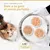 CATIT CUISINE FILLET. Dale a tu gato el menú perfecto. Tres cuencos con comida húmeda Catit Fillet en una bandeja, gato al lado. CATIT CUISINE FILLET. Dale a tu gato el menú perfecto. Tres cuencos con comida húmeda Catit Fillet en una bandeja, gato al lado.