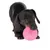 Chien noir tenant une balle rose à picots en plastique dans sa gueule, sur fond blanc. Jouet visible pour chien.