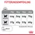 Tableau d’alimentation pour chats : poids 3–6 kg, quantités recommandées en allemand selon poids idéal ou surpoids. Eau indiquée. Énergie : 3708 kcal/kg. Texte en allemand.