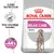 Royal Canin Relax Care Maxi hondenvoer, tekst: Voor onrustige honden, bewezen resultaten +44% normaal gedrag, Care Nutrition. Royal Canin Relax Care Maxi hondenvoer, tekst: Voor onrustige honden, bewezen resultaten +44% normaal gedrag, Care Nutrition.
