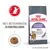 Royal Canin Appetite Control Katzenfutter. Hilft, Bettelverhalten zu kontrollieren. 90% der Besitzer berichten über weniger Betteln in 4 Wochen. Nach einer internen Studie von Royal Canin.