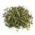 Menthe à chat fraîche Aumüller - 10 g