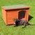 Wooden outdoor kennel with a flat green roof and clear plastic door flap, shown on grass with a large brown dog lying beside it.