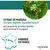 Shampooing répulsif contre les puces et les tiques Vetocanis pour chat Shampooing répulsif contre les puces et les tiques Vetocanis pour chat