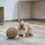 Pequeño conejo marrón junto a una pelota de heno trenzado sobre suelo de madera.