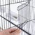 Close-up van een vogelkooi met metalen tralies en een hand die een deur opent. Op de achtergrond is een witte voerbak met zaden zichtbaar.