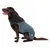 Hund trägt eine zweifarbige Hundejacke in Schwarz und Blau mit Logo auf der Seite. Jacke hat einen hohen Kragen und seitliche Verschlüsse.