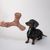 Gioco per cani Nomad Tales Blush Boomerang di peluche