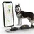 Weenect Tracker GPS XT pour animaux de compagnie pour chien
