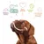 Texte en allemand : Reines Futter, Perfektes Eiweiß-Fett verhältnis, Tierschutz, Bessere Welt, Glückliche gesunde Hunde, avec illustrations au-dessus d’un chien marron.