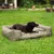 Hund liegt in einem olivgrünen Hundebett mit Griffen, im Garten. Logo 'N' sichtbar auf der Seite des Bettes.