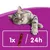 Feeding recommendation: 1 snack every 24 hours. Shown is a grey tabby cat with yellow eyes on a violet background.