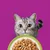 Whiskas 1+ Mixed Menu in Jelly - 40 x 85g Whiskas 1+ Mixed Menu in Jelly - 40 x 85g