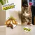 Dreamies ShakeUps - Rockin' Roost - 55g Dreamies ShakeUps - Rockin' Roost - 55g