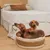 Two brown dogs lying in a round, woven dog bed with a white edge. The bed is on a wooden floor in front of a bed in the background.