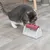 Graue Katze untersucht ein weisses Spielzeug mit rotem Drehmechanismus auf einem Holzboden.