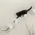 Gatto nero che si bilancia su un'installazione a parete con più piattaforme bianche e superfici tiragraffi in sisal.