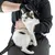 Person holding a cat with a black protective glove, suitable for safe handling of animals.