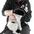 Person uses a black grooming glove brush to remove loose hair from a white cat with black spots.