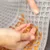 Trixie Bakmat met Hartjes voor Honden & Katten