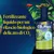 Tetra CO2 Plus fertilizzante liquido per acquari, fornitura intensiva di CO2 per una crescita rigogliosa e rapida delle piante. Fertilizzante settimanale a base di CO2. Tetra CO2 Plus fertilizzante liquido per acquari, fornitura intensiva di CO2 per una crescita rigogliosa e rapida delle piante. Fertilizzante settimanale a base di CO2.