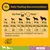 Daily feeding recommendation chart showing dry food and pouch amounts by pet weight from 5kg to 50kg, with specific gram and pouch portions listed for each weight category.