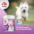 8in1 Vitality Compresse Multivitaminiche per cani di piccola taglia 8in1 Vitality Compresse Multivitaminiche per cani di piccola taglia