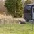 Mobiler Zaun aus Netzmaterial mit schwarzen Pfosten, aufgestellt neben einem Camper. Hund liegt innerhalb des umzäunten Bereichs auf einer Decke.
