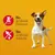 No artificial flavours and no artificial colours, shown with icons indicating absence of additives next to a dog on a yellow background.