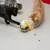 Three cats play with a green interactive toy that dispenses treats. Two treats are on the floor.