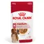 Royal Canin Medium Adult v omáčce - výhodné balení: 20 x 140 g