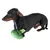 Hond met groen stoffen broccoli-speelgoed. Demonstratie van het gebruik van een hondenspeeltje.