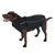 Chien marron portant un manteau noir avec bande réfléchissante visible sur le côté. Manteau couvrant le dos et le cou du chien.