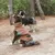 Deux chiens portant des manteaux pour chien, l’un marron et gris avec bandes réfléchissantes, l’autre noir et gris, assis et debout en extérieur sur un chemin forestier.