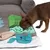 Small brown dog sniffs a snuffle mat with green, blue and beige fabric elements on a grey surface.