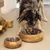 Hund trinkt aus großem Futternapf mit Holz- und Edelstahlschale, daneben kleinerer Napf gleicher Bauart auf dem Boden.