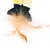 Jouet pour chat avec plumes beiges, tissu noir et éléments en plastique jaune visibles. Matériaux : plumes, tissu, plastique.
