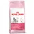 ROYAL CANIN KITTEN 36, pienso para gatitos hasta 12 meses. Texto visible: Ultra Digestive Health, Natural Defences, Reduces faecal smell. Imagen de dos gatitos y croquetas.