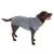 Chien marron portant un manteau gris avec détails jaunes et étiquette visible DFD sur le dos. Le matériau du manteau semble être en tissu.