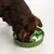 Dog eating from a green anti-gulp bowl with bone-shaped obstacles that promote slow eating.