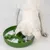 Dog eating from a green anti-gulp bowl with bone-shaped obstacles, designed for slow feeding.