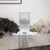 Automatischer Futterspender Tiaki mit zwei Futterschalen, digitale Anzeige und Hunden beim Fressen. Behälter gefüllt mit Trockenfutter.