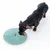 Dog eating from a green, round food dispenser with viewing window and 'FLY' logo.
