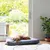 Chien allongé sur un grand coussin gris pour chien, placé devant une porte-fenêtre dans un salon lumineux avec plante verte en pot à droite.