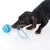 Perro juega con juguete para masticar de cuerda y pelota azul y blanco.
